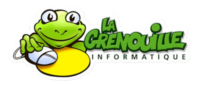 logo la grenouille informatique