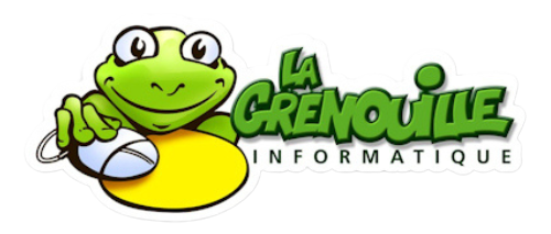 logo la grenouille informatique